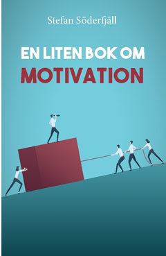 Söderfjäll, Stefan | En liten bok om motivation