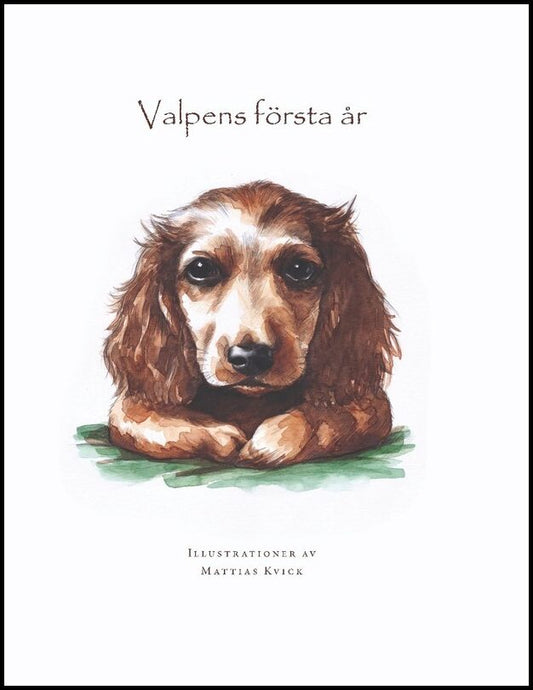 Leonkrone, Alexandra | Valpens första år